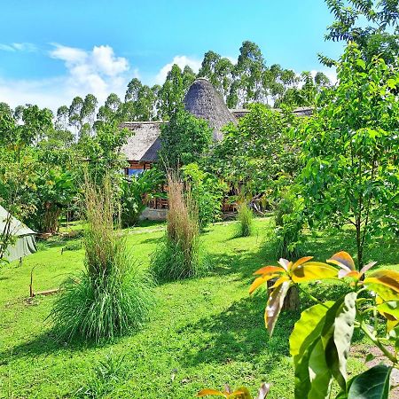 Chimpanzee Capital Safari Lodge Bigodi Ngoại thất bức ảnh