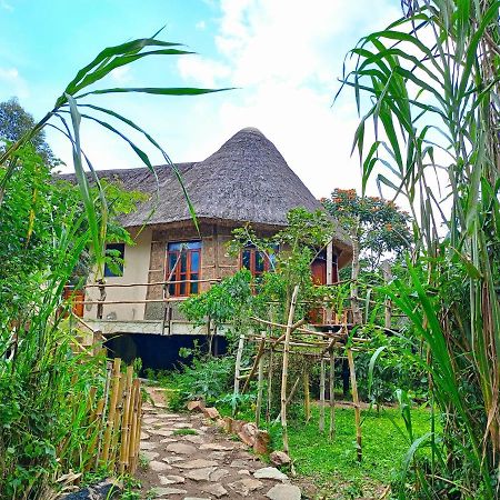 Chimpanzee Capital Safari Lodge Bigodi Ngoại thất bức ảnh