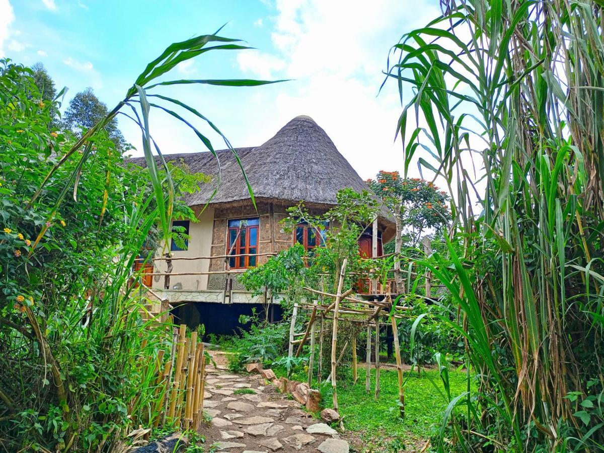 Chimpanzee Capital Safari Lodge Bigodi Ngoại thất bức ảnh