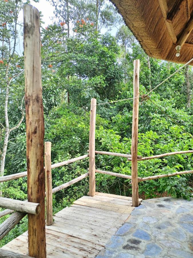 Chimpanzee Capital Safari Lodge Bigodi Ngoại thất bức ảnh