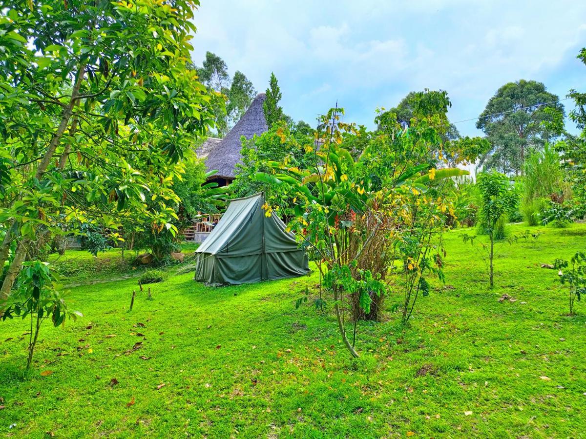 Chimpanzee Capital Safari Lodge Bigodi Ngoại thất bức ảnh