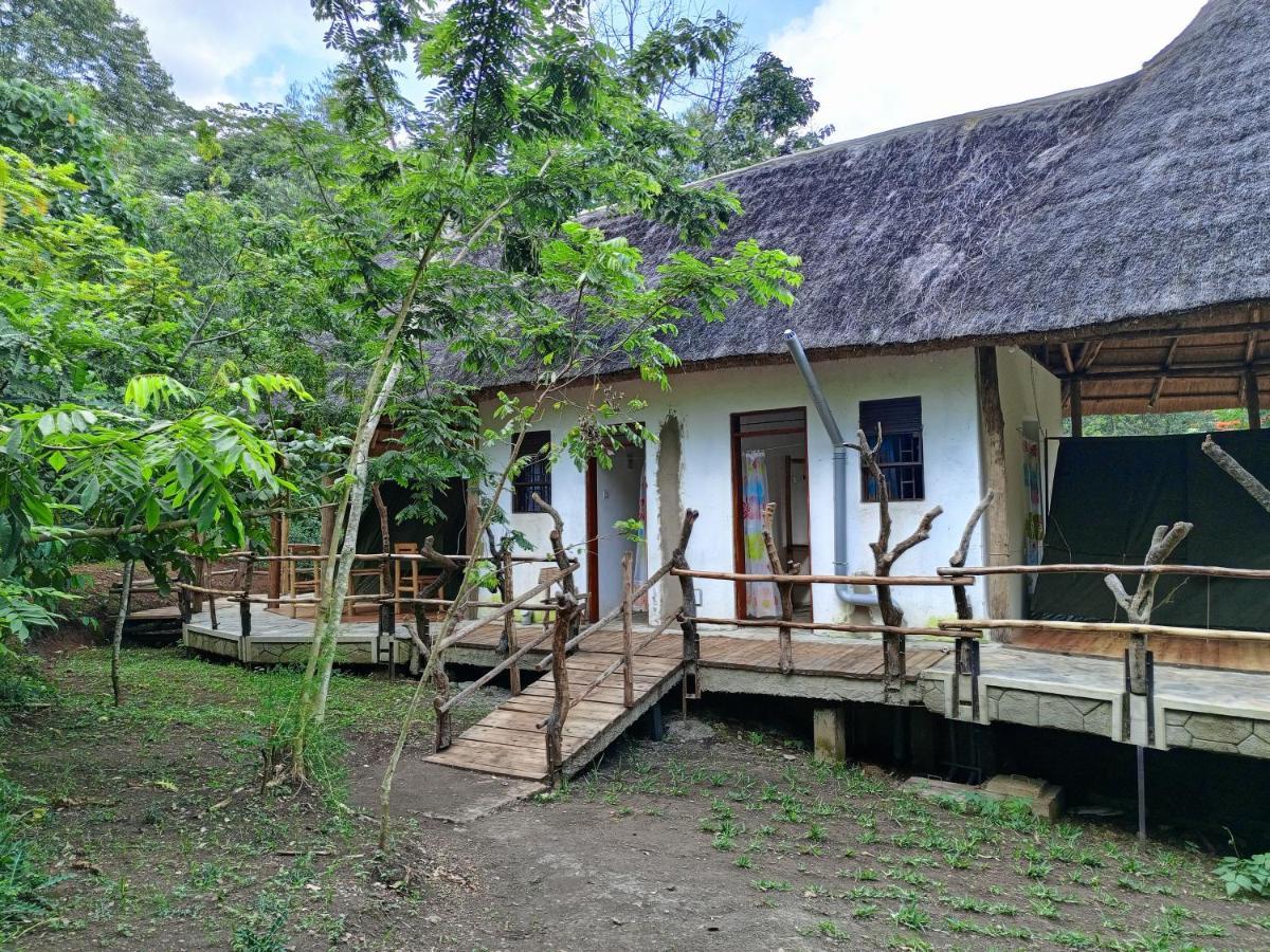 Chimpanzee Capital Safari Lodge Bigodi Ngoại thất bức ảnh