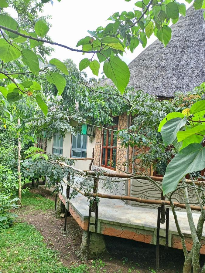 Chimpanzee Capital Safari Lodge Bigodi Ngoại thất bức ảnh